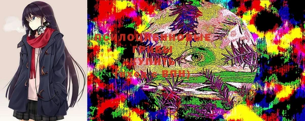 прущая мука Верея