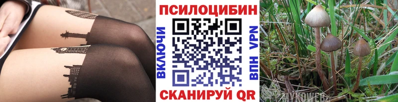 Галлюциногенные грибы Cubensis  сайты даркнета официальный сайт  Симферополь 